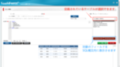 指定項目Query作成画面